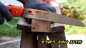 52K views · 56 reactions | เลื่อยพลูซอ ยี่ห่อ PUMPKIN ขนาดยาว 10 นิ้ว...