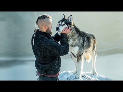 The Top 10 Best Outdoor Dog Breeds
