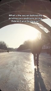 What’s the secret behind the pristine ice conditions on the world’s largest skating rink? Meet “The Froster”, the #RideauCanal Skateway’s custom-built ice resurfacing machine. It takes about 5 hours to cover the entire 7.8km! Our teams resurface the ice every evening when the weather permits. Have you spotted the Froster on the ice? 👀 #rideaucanalskateway #rideaucanal #ottawa #odr #zamboni | Rideau Canal Skateway | Patinoire du canal Rideau