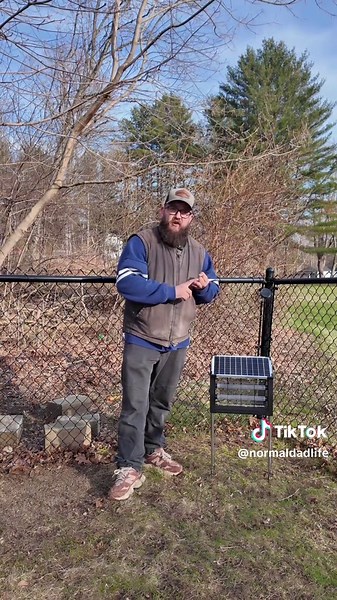 Solar Bug Zapper for a Mosquito-Free Yard