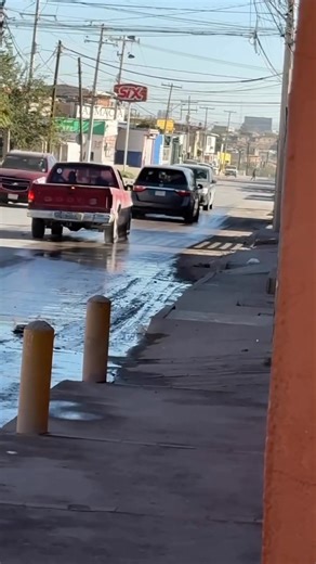 9K views · 86 reactions | David Kors on Reels | Facebook