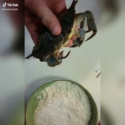 Cleaning & prepping softshell crab to go in a nice hot pan. #tiktokchef #softshellcrab #quarantinecooking #fyp #cooking #quarantinecook #seafood