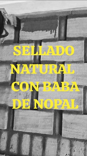 2.5K views · 3.7K reactions | Los muros de adobe no solo son...