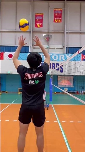 【バレーボール】春高完全優勝セッター、Vリーガーのトス練習#山本龍#セッター#トス#サントリーサンバーズ#ハイキュー #haikyuu