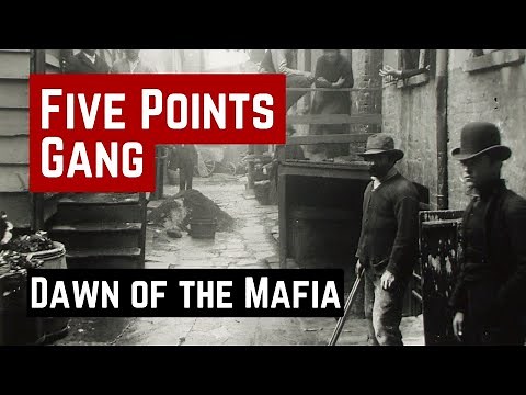 THE FIVE POINTS GANG & THE DAWN OF THE MAFIA