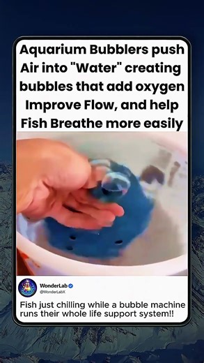 Aquarium Bubbles Keep Fish Alive!!