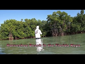 Fishing Horseshoe Beach in the Florida Keys
