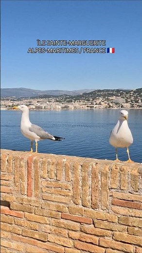 (06) Île Sainte‑Marguerite (Îles de Lérins), Cannes – Alpes‑Maritimes / FRANCE 🇫🇷