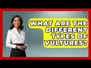 What Are The Different Types Of Vultures? - Bird Watching Diaries