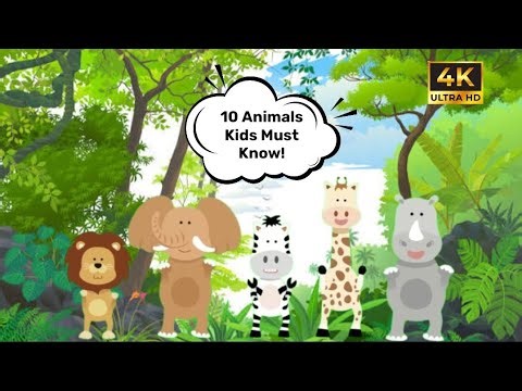 10 Amazing Animals for Kids | Fun Facts for Children | Learn Animals with FunLand Kids TV