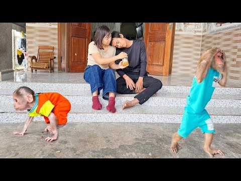 Unexpected Situation : CUTIS & BUEM Search for Sick Dad