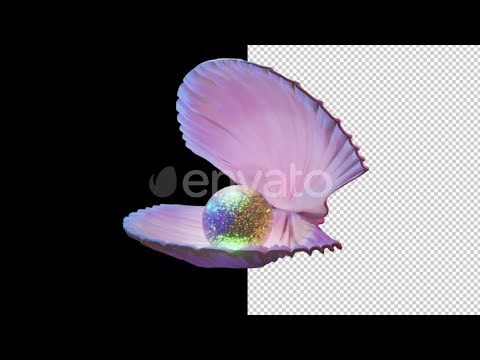 Glowing Pearl In Shell Animation Alpha