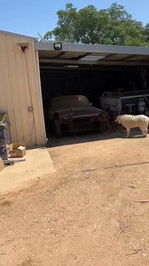 Well it’s a very warm day today , and know better time then to be rescuing old American iron, thanks to John for the lead on this car, we will be throwing John some cash for getting us this deal it’s always much appreciated, The fella that owned this 65 thunderbird unfortunately was involved in a fender bender, (not his fault) he was payed out by insurance, but he went ahead a purchased a different car and this one sat in the shed,for close to 3 years , well the time came to sell and here we are