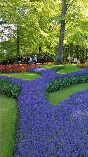 🇳🇱 Keukenhof, May 3, 2025 – Netherlands [4K]