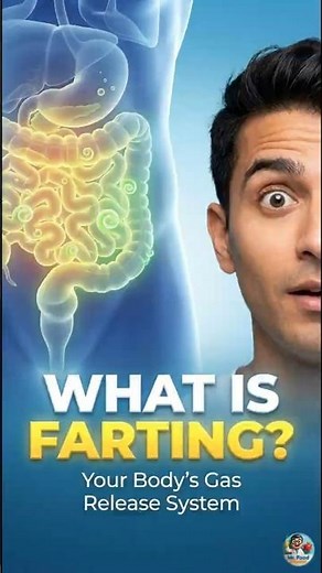 What Is Farting? 💨 | Causes, Meaning & What It Says About Your Digestive Health