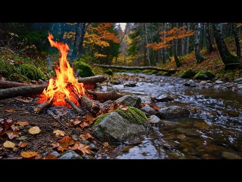 Early Winter River Campfire 🌙 Cozy Crackling Fire & Relaxing Nature Ambience