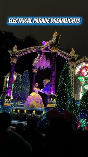Tokyo Disneyland Electrical Parade Dreamlights Christmas 🎄