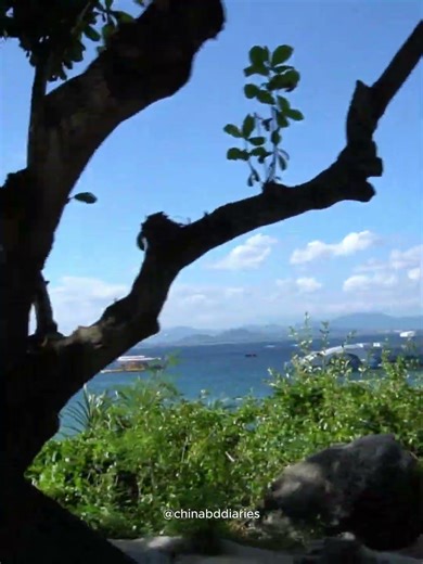 This Bus Tour Explains Everything! 🚍🌴 Wuzhizhou Island Guide #shorts2026 #shorts