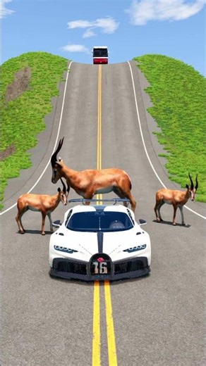 Bigger Bus vs 3D Deer's Models-BeamNG-Drive #beamng #simulator