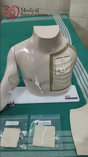🩺 Chester Chest® with Standard Arm – Vascular Access Training Made Realistic