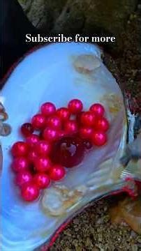 Pearl Explore 🫧🦪 #pearlstone #pearl #explore #shortvideos #shortsfeed #shorts #viralvideos #foryou