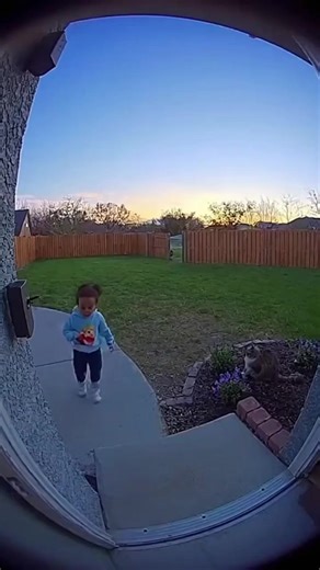 I do not like wolves. | Radiant Melody