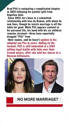 Brad Pitt’s New Love Life in 2025 Amid Divorce Fallout and Family Rift I Will Never Marry Again