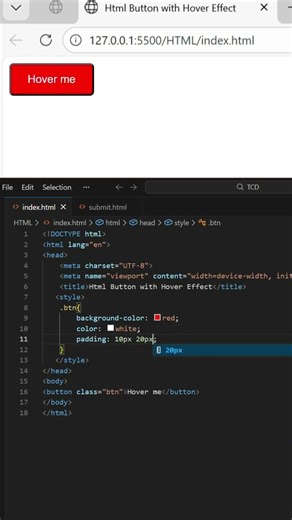 HTML Button Hover Effect | CSS Hover for Beginners | The Creative Developer #tcd