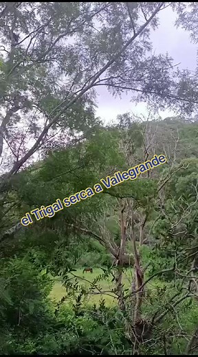 TikTok · Xavix xavix