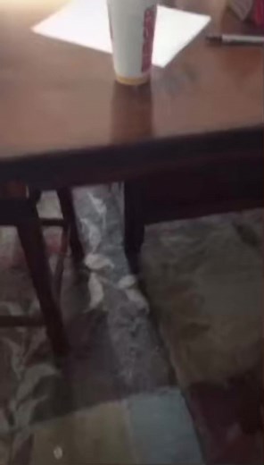 Carbonated Poop Water Meme Compilation