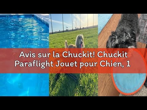 Avis sur la Chuckit! Chuckit Paraflight Jouet pour Chien, 1 Unité, Bleu/Orange, S