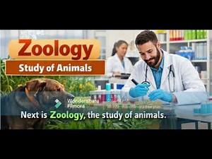 APPLICATION OF BIOLOGY IN OUR DAILY LIFE My Video