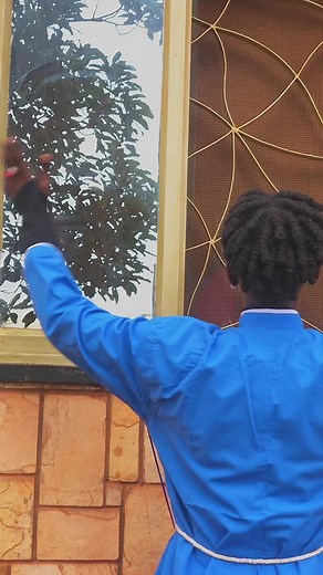 Mother Mary's Apparition in Uganda: A Divine Encounter