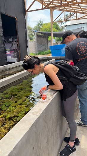 7.5K views · 33 reactions | Are YOU ready….??? Our next shipment of Hand-Picked Corals from Bali is set to land in a few days! Stay tuned!!! | New Wave Aquaria | Facebook