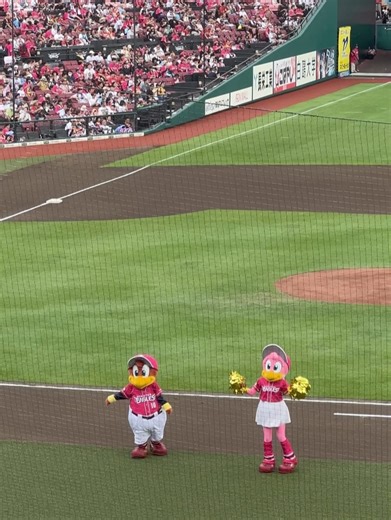 関根和子【NHK仙台 キャスター】 on Instagram: "・ 初✨楽天イーグルスのスタジアムに行ってきました⚾️ 野球に詳しい友人から、状況を毎回教えてもらって とにかく楽しく見られました◎ ありがとう🩵🩵🩵 偶然！あいみさんにも会えて嬉しかった〜🥹✨ す〜んごくいい夏の締めくくりって感じの 1日になりました🌻👒 #楽天イーグルス #野球 #野球観戦"
