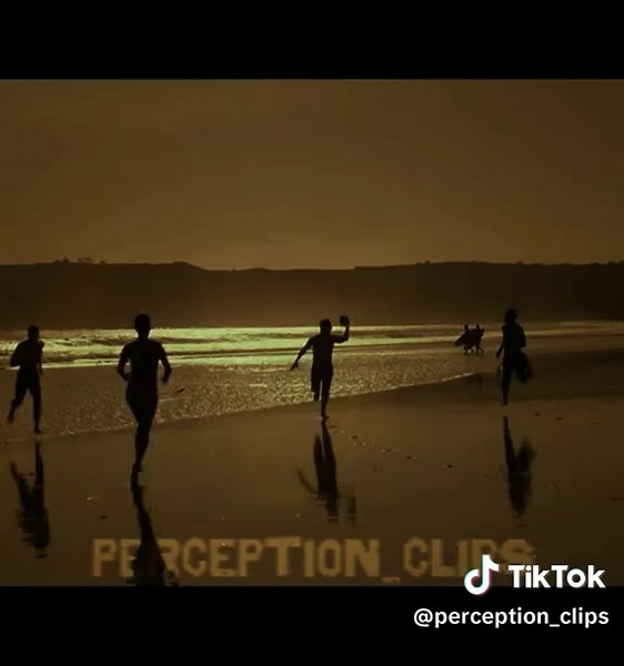 It’s not the plane, it’s the pilot. 💯 #maverick #topgun #edit #trending #fyp #rooster