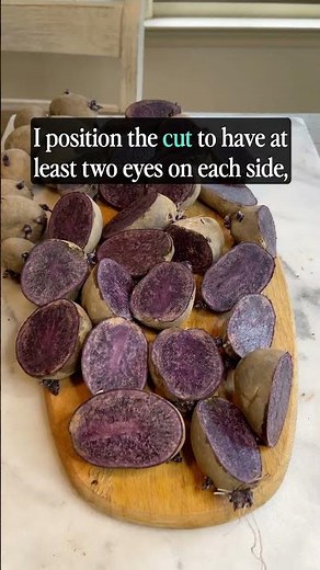 How to Cut Seed Potatoes #shorts