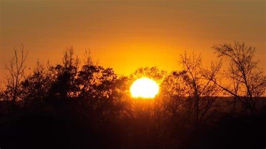 Who doesn’t love a Sunday sunset after a Sunday dinner. #sunset #dji #jfoxfilms #cinematography | Jacob Fox