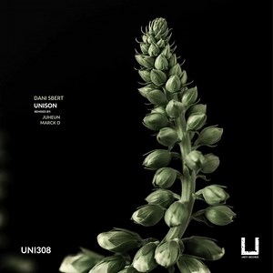 Unity Records on Reels