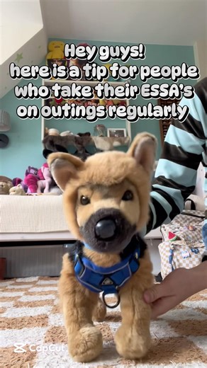 Useful for if you lose your ESSA or can’t communicate your needs!