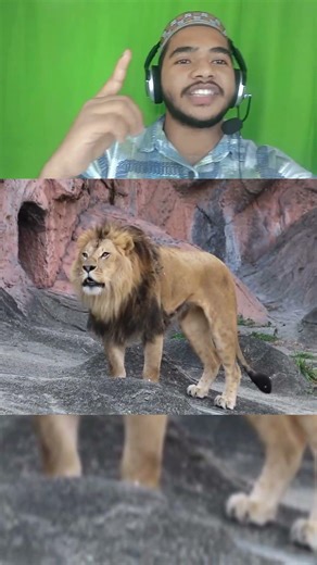 Ya Ali #islamicvideo #islam #shorts