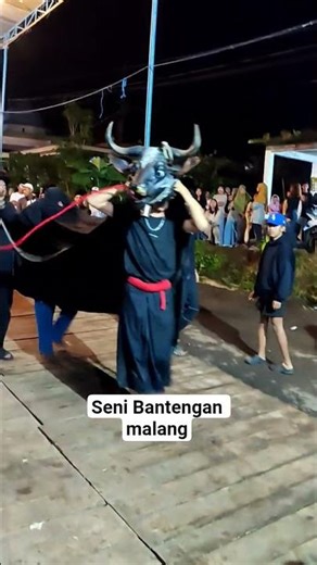 Malang Bullfighting Art, East Java, Indonesia