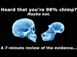 Human Chimp DNA Similarity