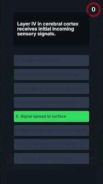 USMLE-1 Brain & Sensation: Cortical Functions Quiz
