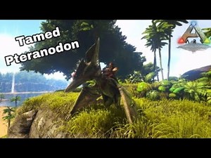 How to tame a pteranodon in Ark Survival Evolved