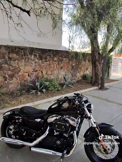 2011 Harley Davidson 48 Review and Features