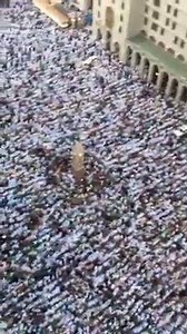 591K views · 14K shares | Eid Prayer in the City of the Prophet (SallAllaahu 'Alayhi Wa Sallam). <3 May Allaah bless us to do Eid Prayer in this place. Aameen. | ILoveAllaah.com | Facebook