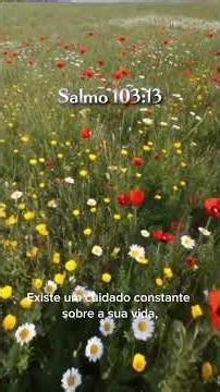 Deus cuida de você como um Pai | Salmo 103:13