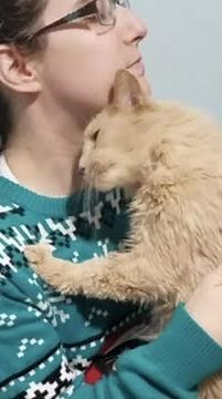 Couple Saved Cat from Shelter. He Can't Stop Hugging Them