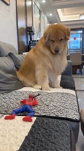 546K views · 3.4K reactions | Crawling Spiderman Toy 藍 | Cool Toys | Facebook